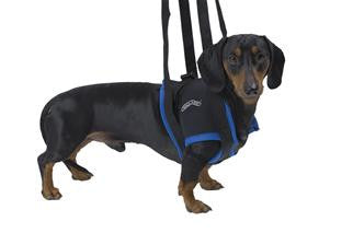 Walkabout Front Leg Support Harness - Doolittle's Pet Products - 6