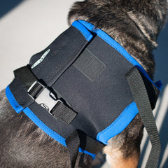 Walkabout Front Leg Support Harness - Doolittle's Pet Products - 2