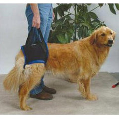 Rear Dog Sling Harness by Walkabout - Doolittle's Pet Products - 2