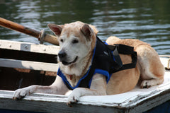 Walkabout Front Leg Support Harness - Doolittle's Pet Products - 8