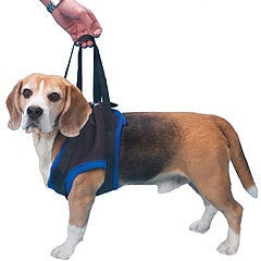 Walkabout Front Leg Support Harness - Doolittle's Pet Products - 5