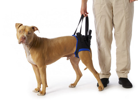 Dog sling for walking hot sale